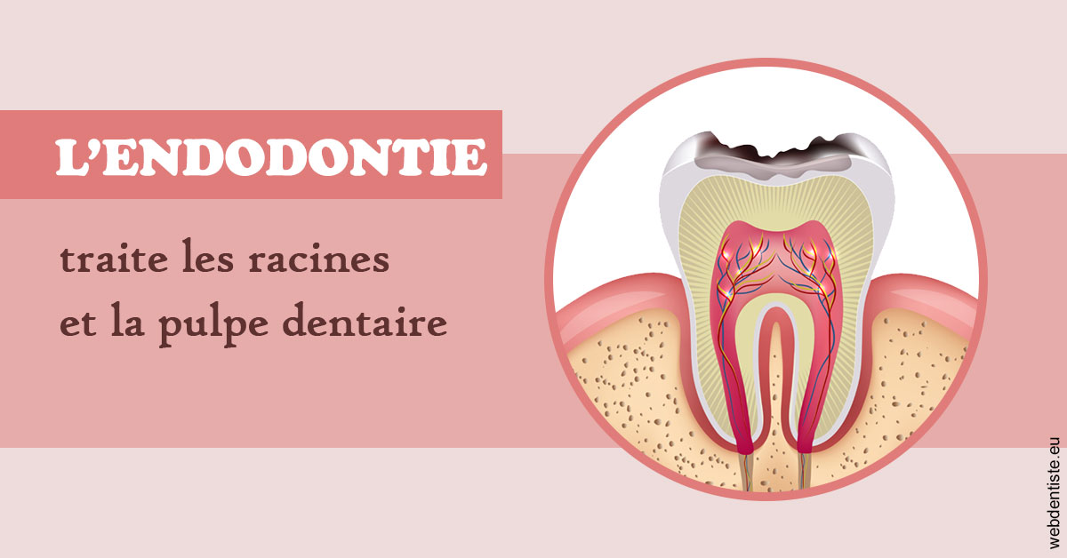 https://selarl-du-docteur-franck-wattinne.chirurgiens-dentistes.fr/L'endodontie 2