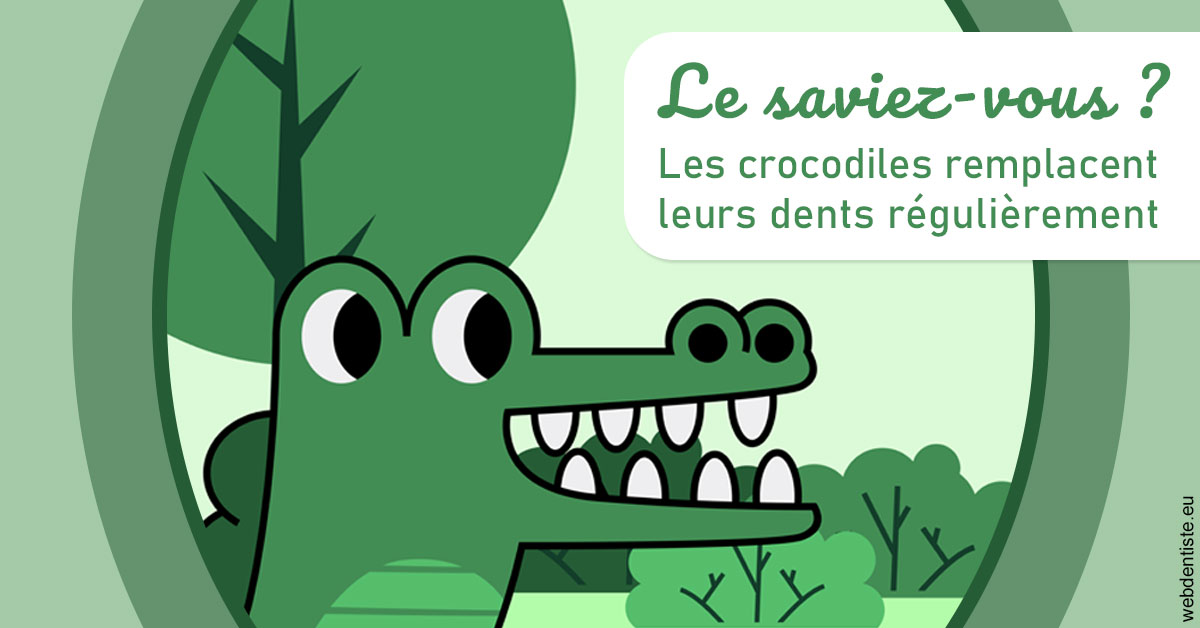 https://selarl-du-docteur-franck-wattinne.chirurgiens-dentistes.fr/Crocodiles 2